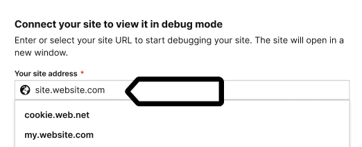 connect site to Piwik PRO Tag Manager
debug mode