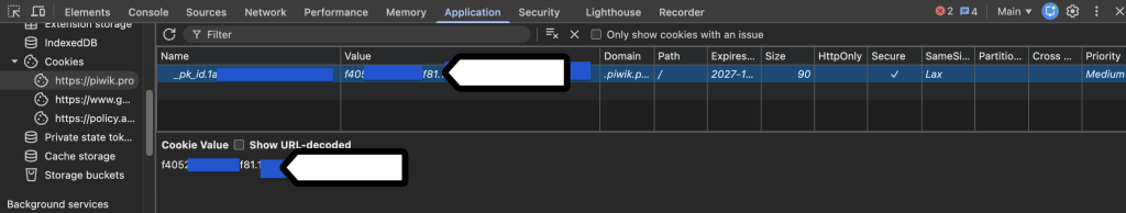Visitor ID found in the Google Chrome cookie storage
